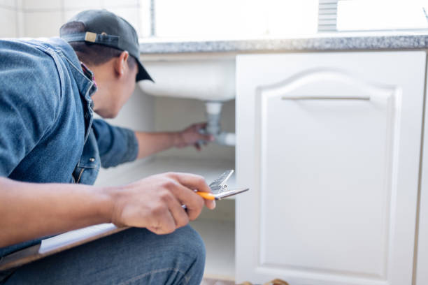 Best Plumbing Inspection Services  in Cicero, IL